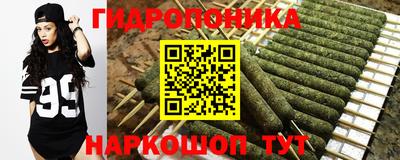 тгк Гусь-Хрустальный