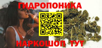 альфа пвп Гусев