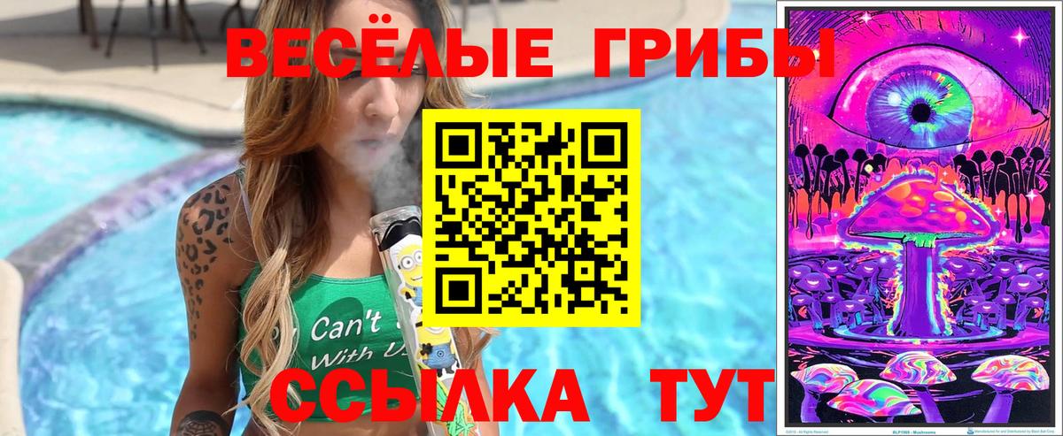 Псилоцибиновые грибы мухоморы  Галлюциногенные грибы MAGIC MUSHROOMS  Вход с VPN  Медногорск 
